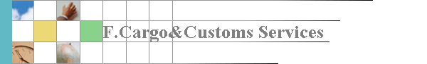 F.Cargo&Customs Services